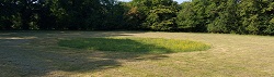 Bramfield Castle Yard